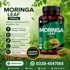 Moringa Leaf Capsules in Pakistan