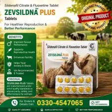 Zevsildna Plus Fluoxetine Tablets in Pakistan